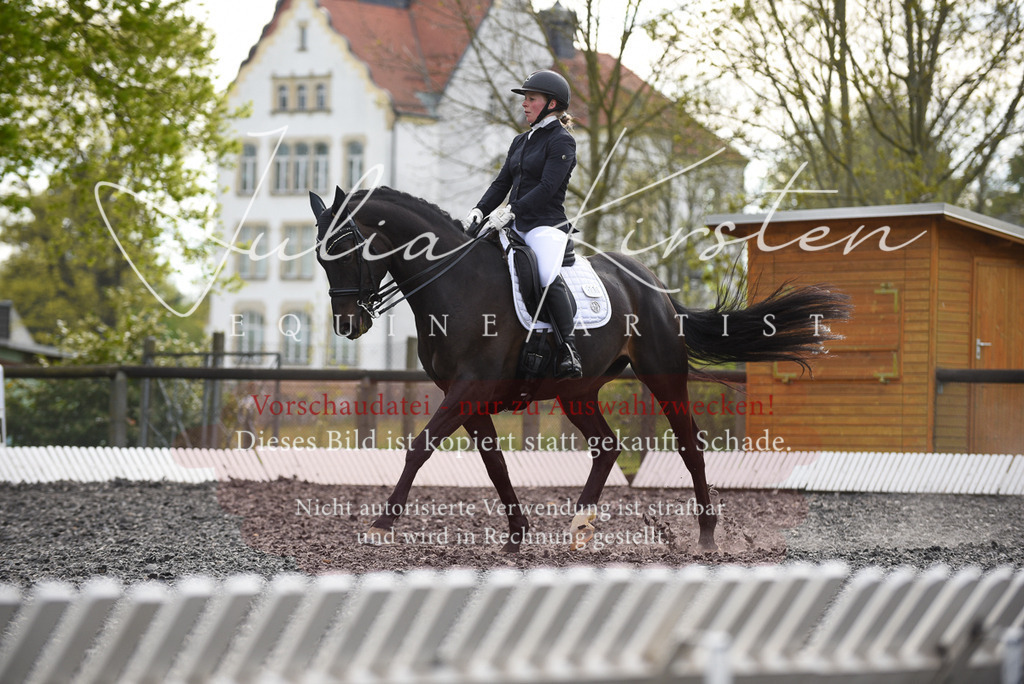 20230513_JK-Röhrsdorf-17-252 | Pferde- und Turnierfotografie in Westsachsen. Pferdeportraits, Auftragszeichnungen und intuitive Kunst.