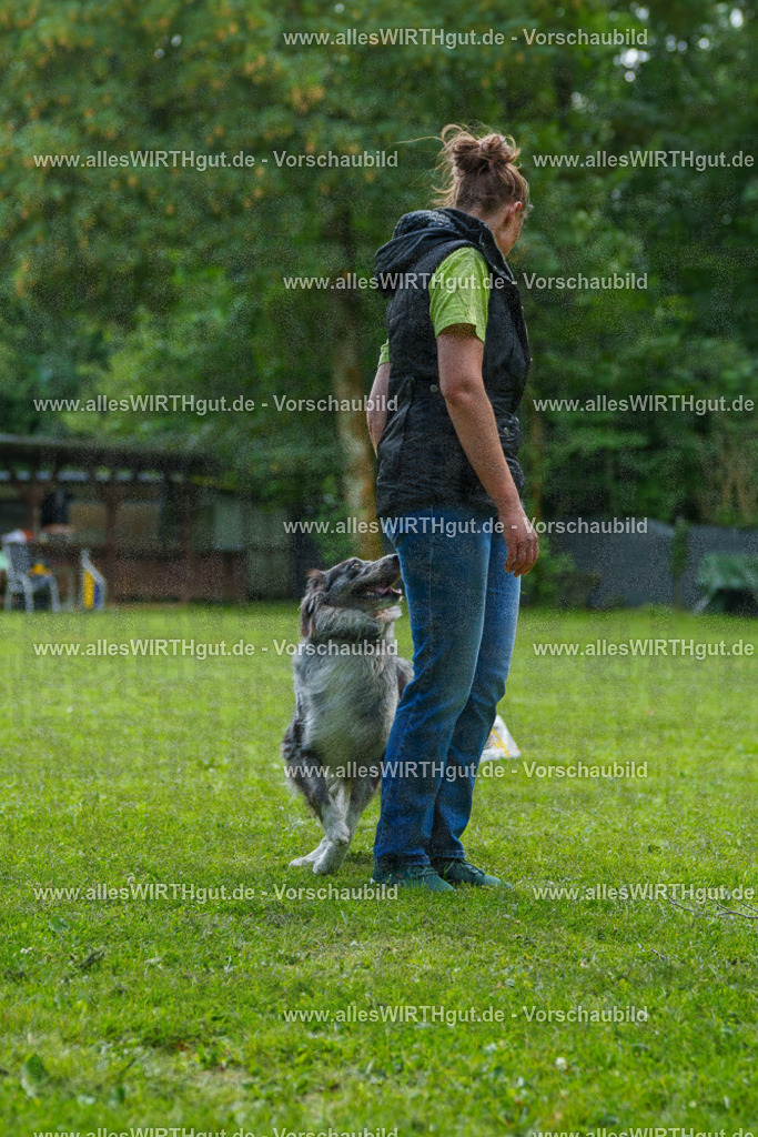 @allesWIRTHgut_Tierfotografie - www.allesWIRTHgut.de - 7R504785 | Professionelle Tierfotografie in Mönchengladbach von Daniel Wirth (allesWIRTHgut). Liebevolle & natürliche Bilder von Hunden & Katzen für unvergessliche Erinnerungen.
