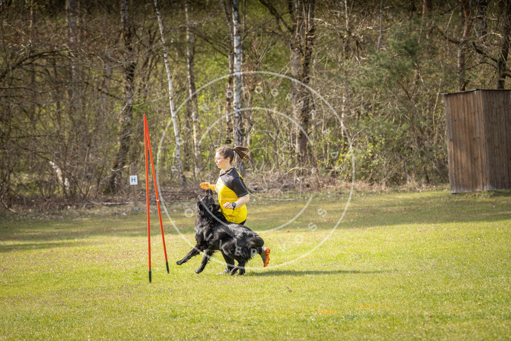 Pfotenfotografie_DV3A0112 | Hundefotografie, Tierfotograf, Pfotenfotografie, Fotoshooting Hund, Hunde Portrait, Hundesport, Hundeportraits, Heideshooting, Hunde, Sportfotograf, Hundefotograf, Turnierhundsport, THS,  - Realisiert mit Pictrs.com