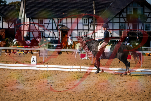 2026_10_03_Siefer-Hof_120050_Z63_32355491 | Professionelle Reitsport-, Turnier- und Eventfotografie von Robert Broda. Galerien mit ausgewählten und bearbeiteten Bildern direkt online ansehen und bestellen.