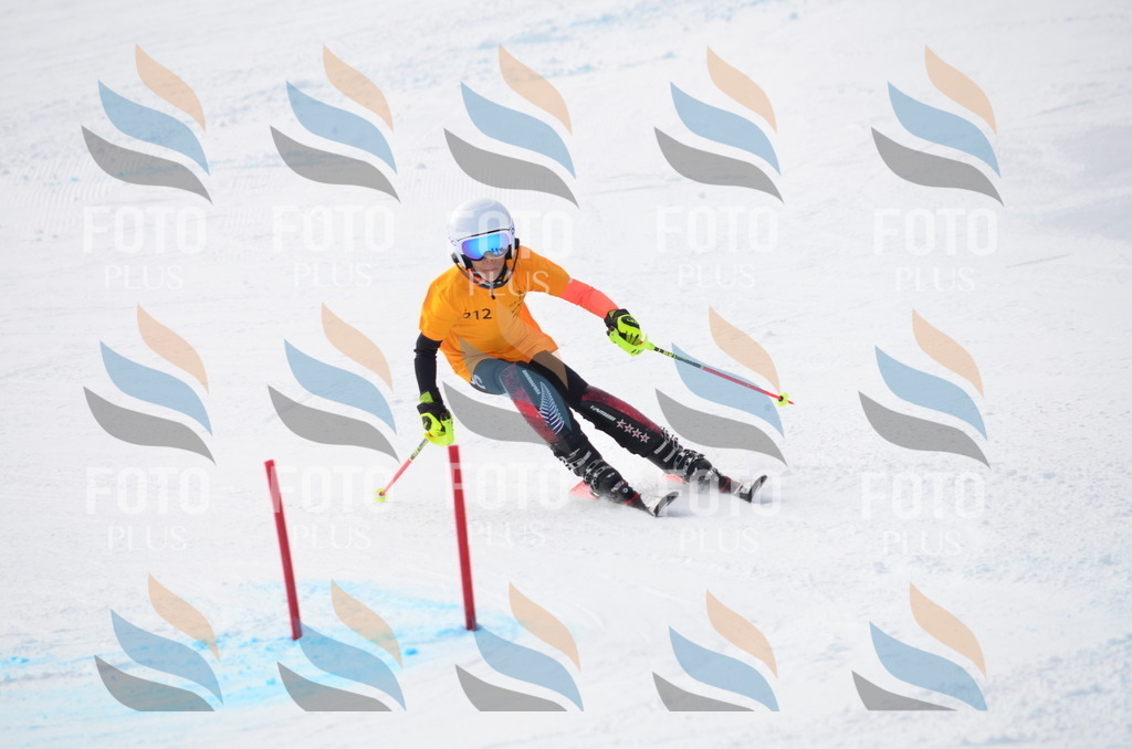 C8192 | holidayphoto