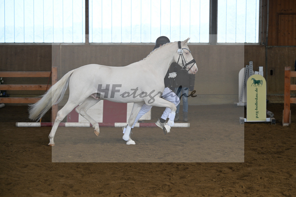 Kat-Nr. 5 EMR Gamarelli v. Giotto_Rupp_49250129 | hf-fotografie - Realisiert mit Pictrs.com