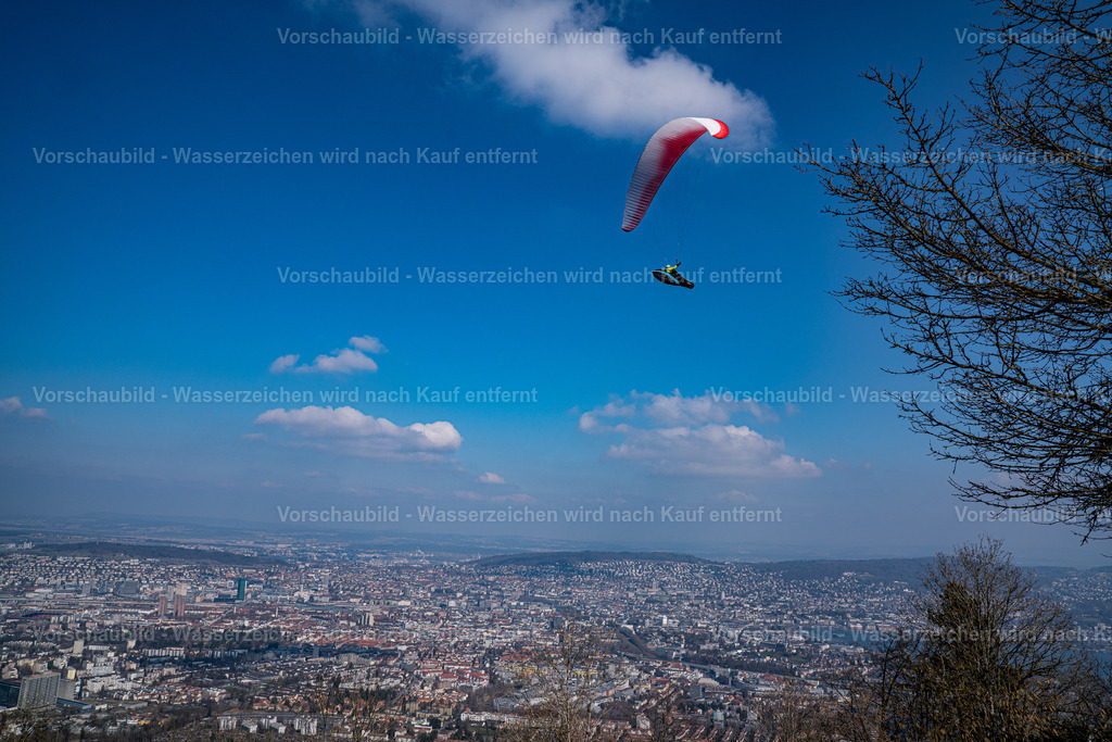 DSC02018-3 | marcuslinek