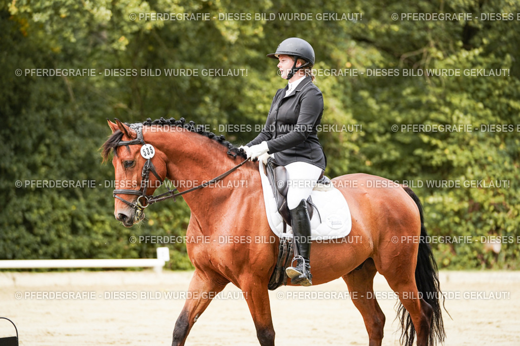 DSC01828 | Pferdegrafie