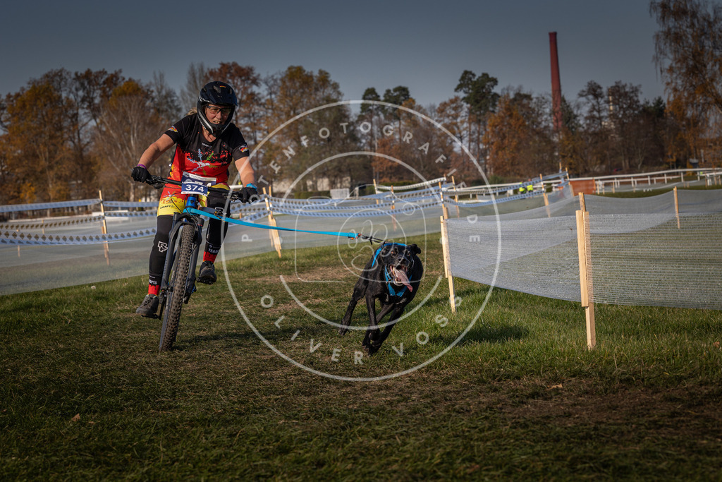CaniXpix_0L8A7910 | Hundefotografie, Tierfotograf, Pfotenfotografie, Fotoshooting Hund, Hunde Portrait, Hundesport, Hundeportraits, Heideshooting, Hunde, Sportfotograf, Hundefotograf, Turnierhundsport, THS,  - Realisiert mit Pictrs.com
