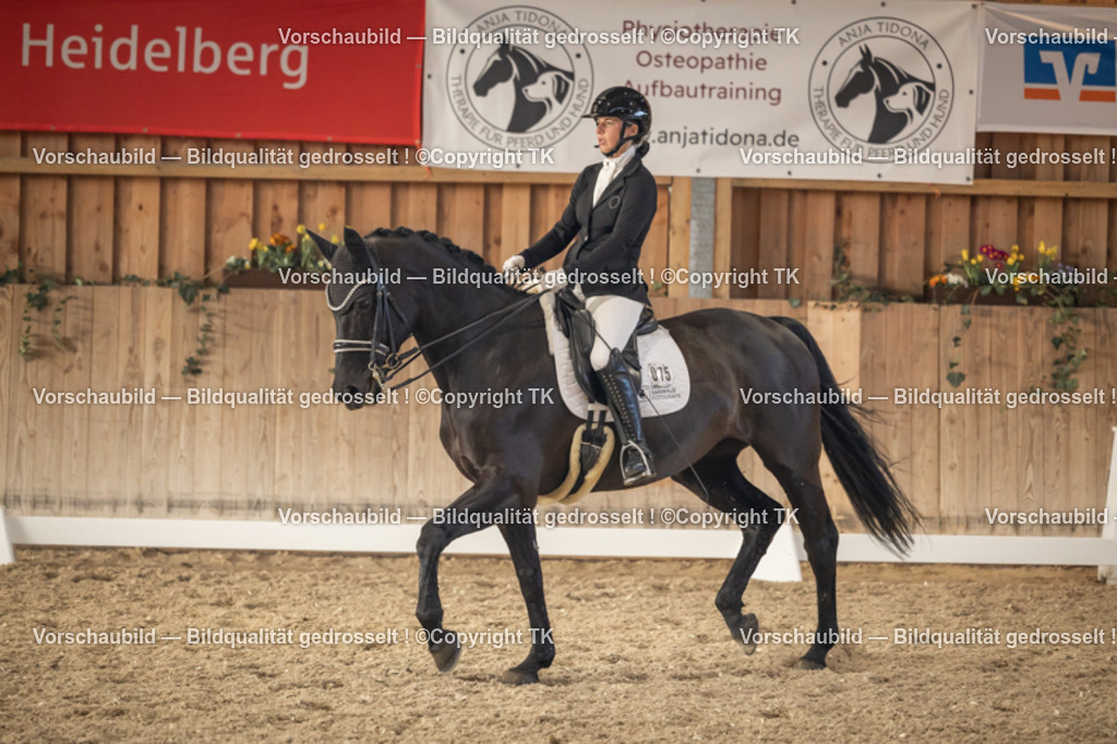 _D5A3141 | Emotionale Pferde- & People-Fotografie rund um Heidelberg, Leimen & Umgebung. Natürliche Fotos von Pferd, Mensch & Familie. Jetzt Termin sichern!