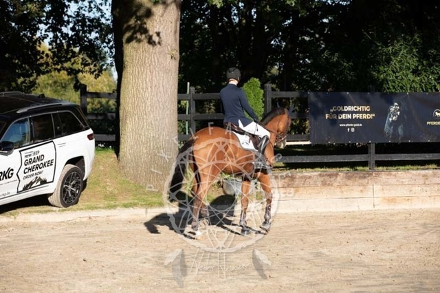 2B4A0812 | pixelfaenger - Realisiert mit Pictrs.com