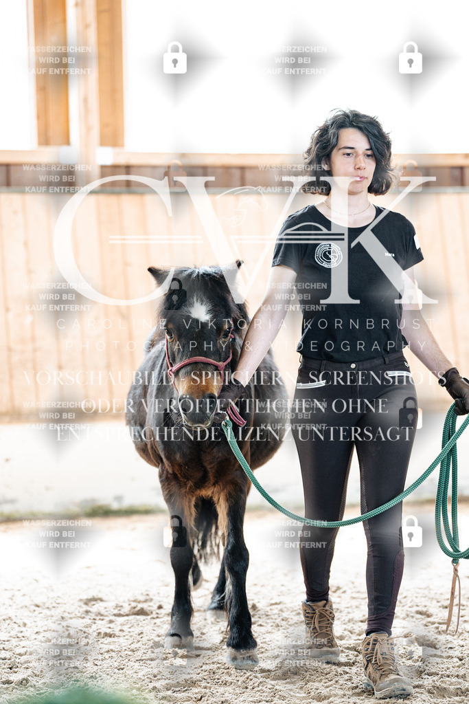CK906862 | Turnierfotografie Pferdefotografie Trier Rheinland-Pfalz Pferdesport Reitsport Tierfotografie Sportfotografie Pferdevideo Pferdevideografie Equestrianvideography equestrianphotography  - Realisiert mit Pictrs.com