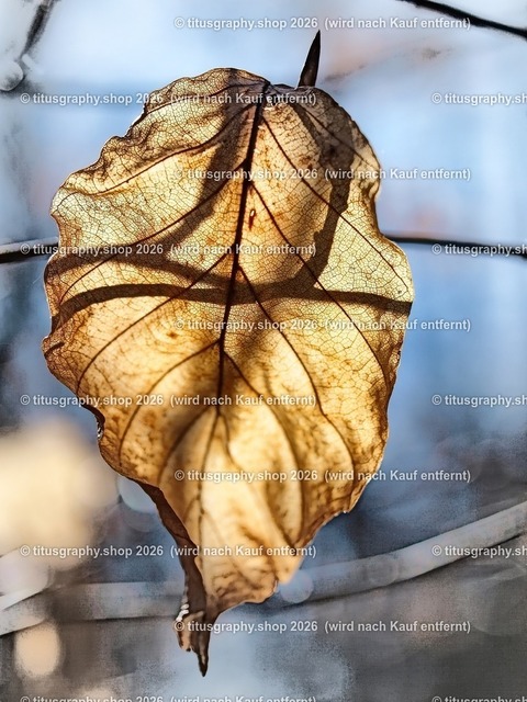 titusgraphy_P4106185-vz-ln_pe-03 | titusgraphy-shop: Geschenkideen mit Qualitätsfotos. titusgraphy-shop: gift ideas with quality photos. titusgraphy-shop: idées cadeaux avec photos de qualité.  - Realisiert mit Pictrs.com