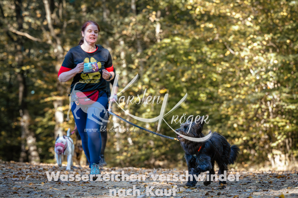 1137_ZZ92895 | kk-dogfotos