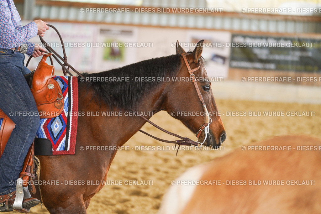 DSC08131 | Pferdegrafie