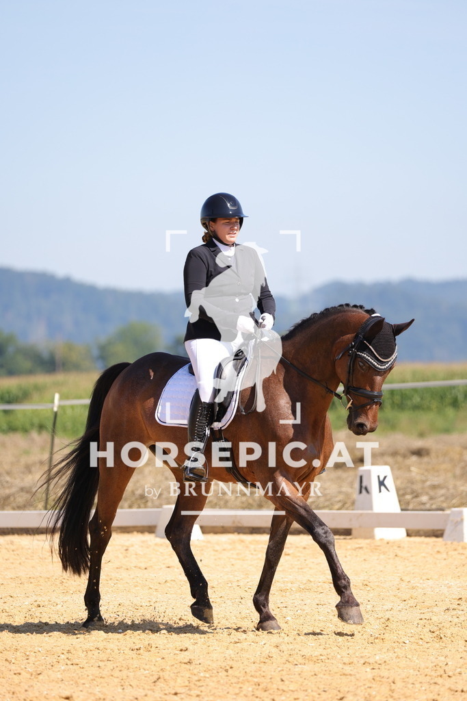 0P6A7487 | Willkommen bei Brunnmayr - Design & Fotografie – Ihrem Spezialisten für Reitturniere und Pferdeveranstaltungen in Oberösterreich, Salzburg und Bayern! Seit über 17 Jahren sind wir leidenschaftlich dabei.