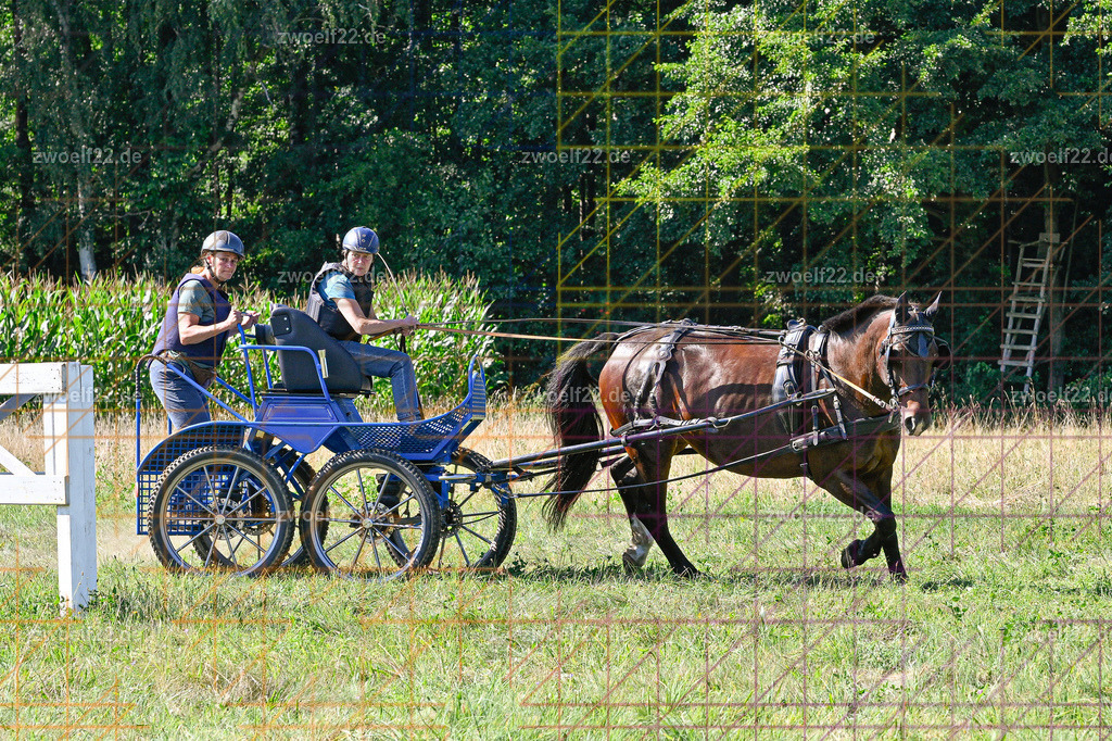 30 Jahre RFV Pulsnitz e.V., Pulsnitz am 09.08.2026 | 30Jahre Reit- und Fahrverein Pulsnitz e.V., Pulsnitz am 08.08.2026Zur 28. breitensportlichen Veranstaltung des RFV Pulsnitz e.V. fanden verschiedene Wettbewerbe in nahezu allen Disziplinen des Pferdesport statt.- Geländefahr-Wettbewerb - Realisiert mit Pictrs.com