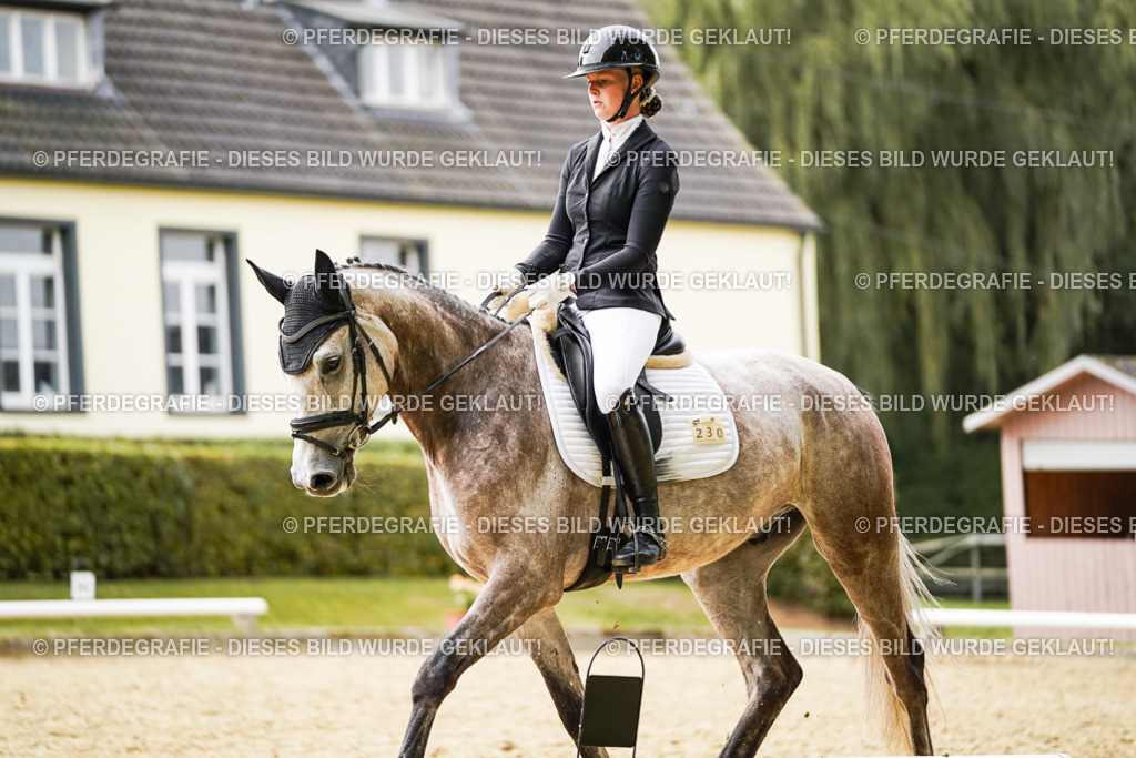 DSC01385 | Pferdegrafie