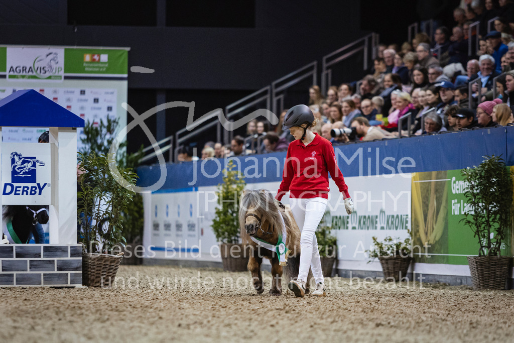 250108_Muenster_Hengstpräsentation-101 | Deine schönsten Turniermomente als professionelle Fotos! Entdecke hochwertige Pferdesport-Fotografie im Online-Shop. Jetzt Fotos finden & bestellen!