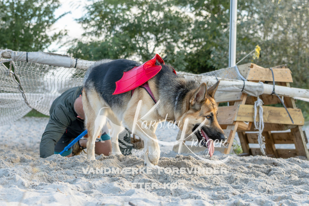 1641_ZZ98454 | kk-dogfotos