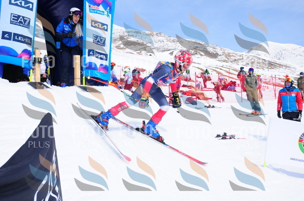 DSC_6572 | holidayphoto