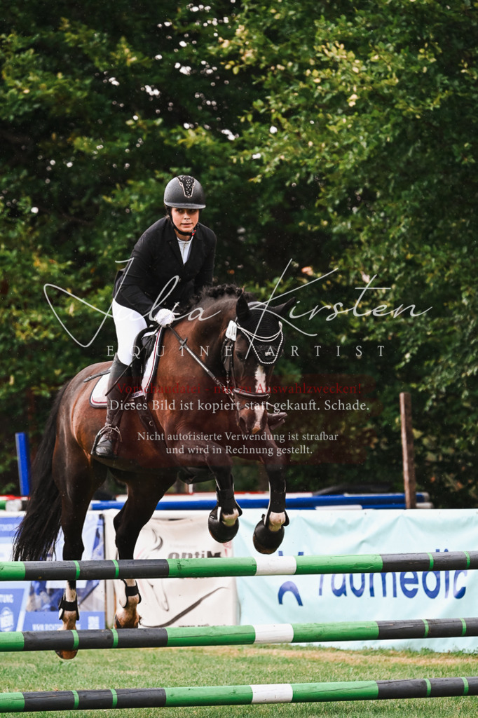 DSC_6323 | Pferde- und Turnierfotografie in Westsachsen. Pferdeportraits, Auftragszeichnungen und intuitive Kunst.