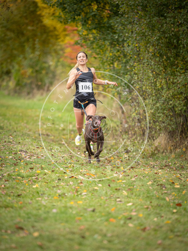 Pfotenfotografie_DV3A2383 | Hundefotografie, Tierfotograf, Pfotenfotografie, Fotoshooting Hund, Hunde Portrait, Hundesport, Hundeportraits, Heideshooting, Hunde, Sportfotograf, Hundefotograf, Turnierhundsport, THS,  - Realisiert mit Pictrs.com
