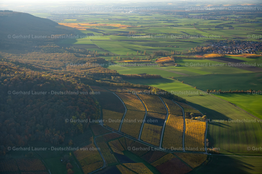 4042843 | Weinbergslandschaft an der Mainschleife bei Escherndorf und Nordheim