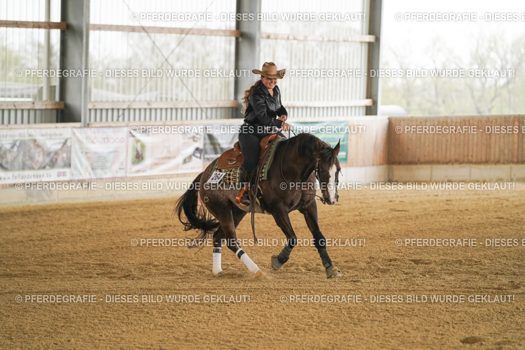 DSC07416 | Pferdegrafie