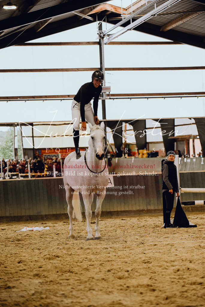 DSC_6997 | Pferde- und Turnierfotografie in Westsachsen. Pferdeportraits, Auftragszeichnungen und intuitive Kunst.