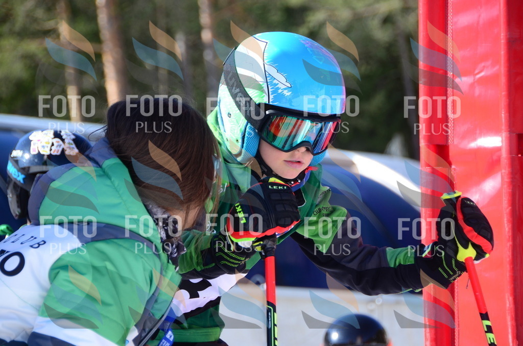 C5613 | holidayphoto