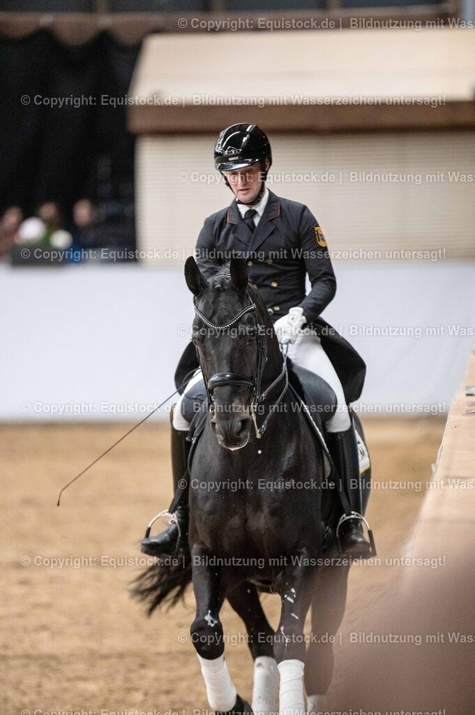20260307_Hengstvorstellung-Marbach_0478 | equistock