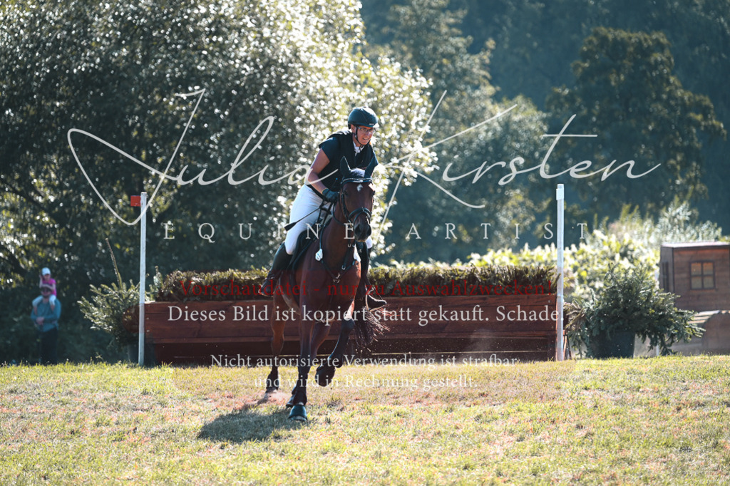 DSC_7881 | Pferde- und Turnierfotografie in Westsachsen. Pferdeportraits, Auftragszeichnungen und intuitive Kunst.