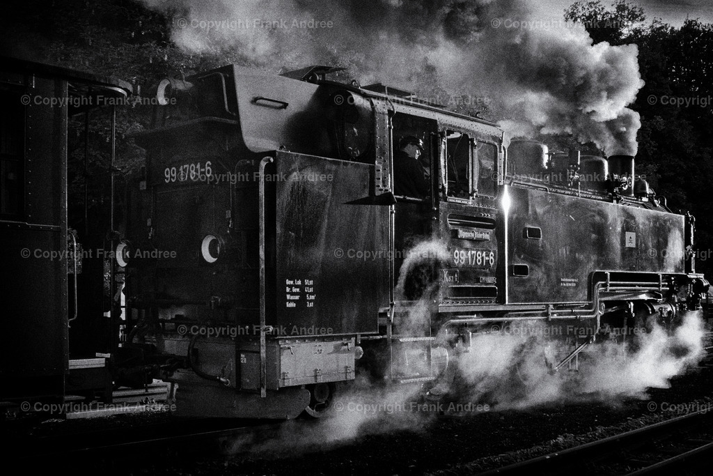 Dampflokomotive | Eine Dampflokomotive fährt bei Sonnenuntergang in Richtung untergehende Sonne. Der Lokomotivführer schaut aus seiner Lokomotive. Straßenfotografie in schwarz weiß. - Realisiert mit Pictrs.com