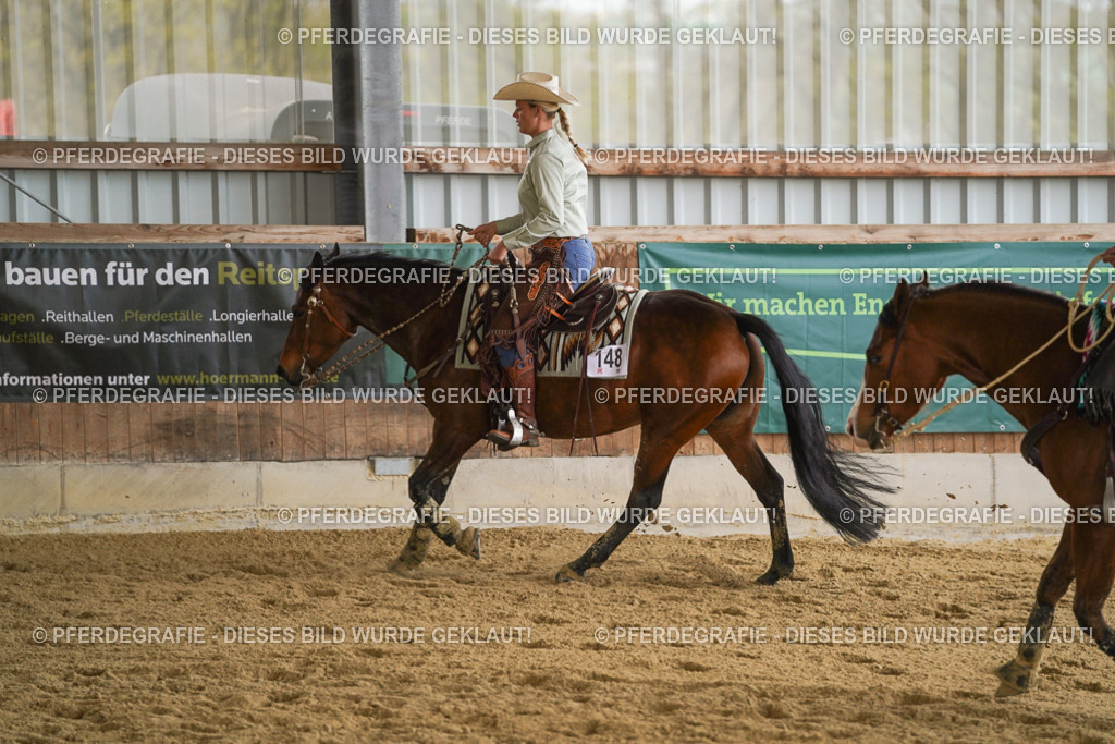 DSC09132 | Pferdegrafie