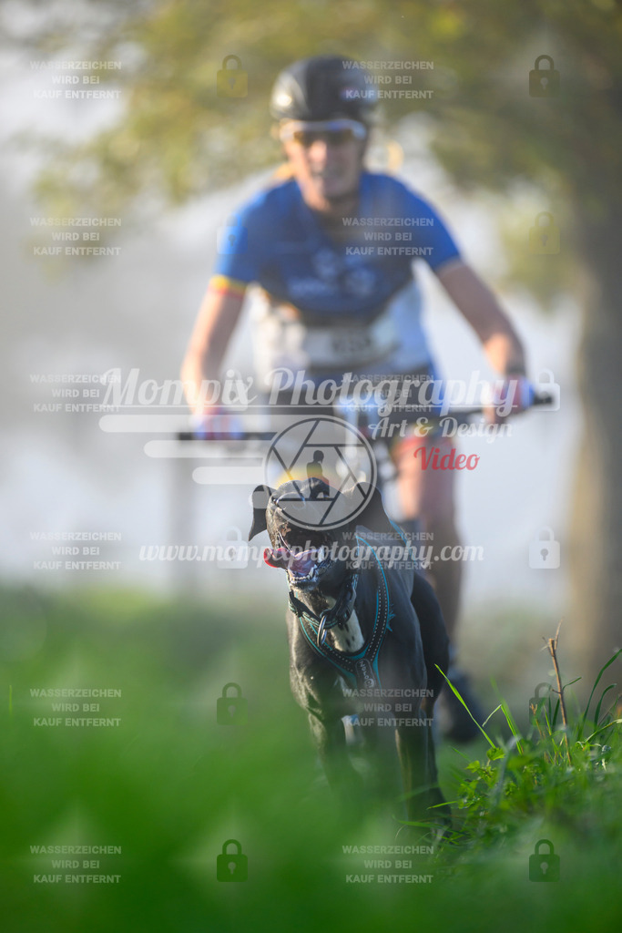 MompixPhotography_20TSB_E3_Bike-64 | PayLife