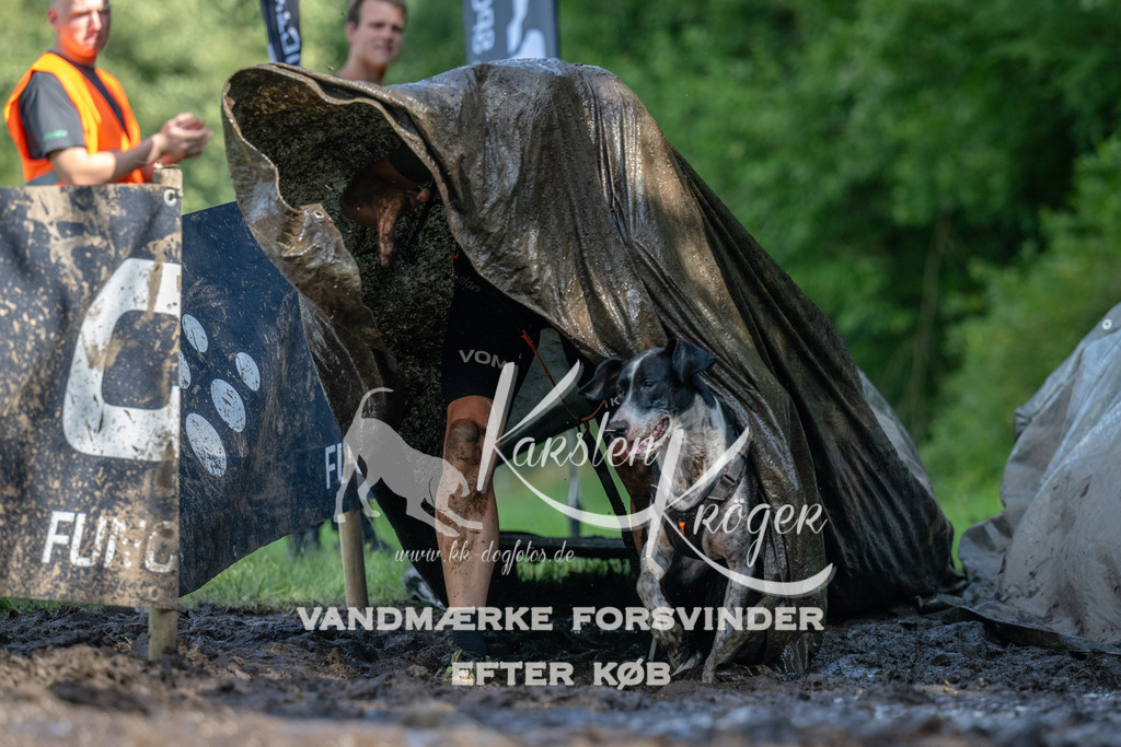 1550_ZZ91787 | kk-dogfotos