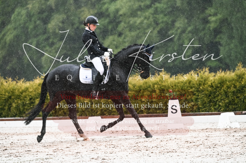 DSC_4728 | Pferde- und Turnierfotografie in Westsachsen. Pferdeportraits, Auftragszeichnungen und intuitive Kunst.