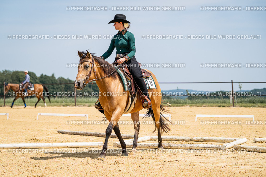 DSC01250 | Pferdegrafie