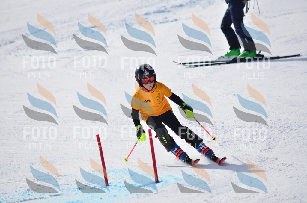 C8665 | holidayphoto