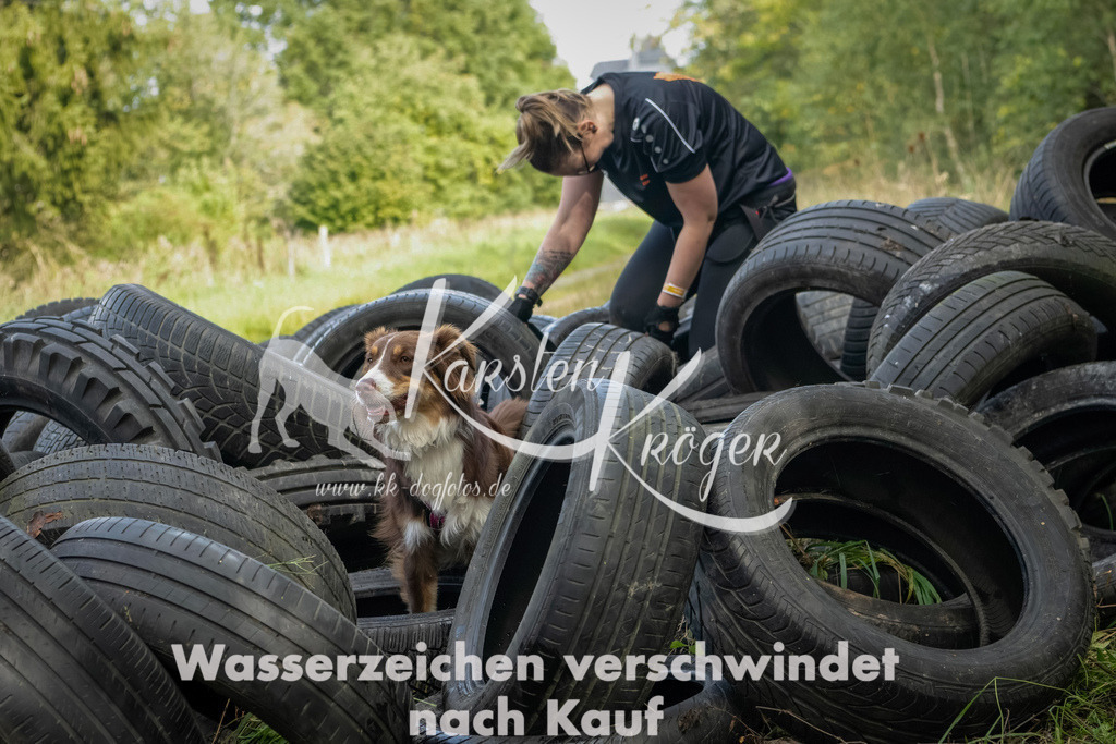 1504_ZZ91077-Bearbeitet | kk-dogfotos