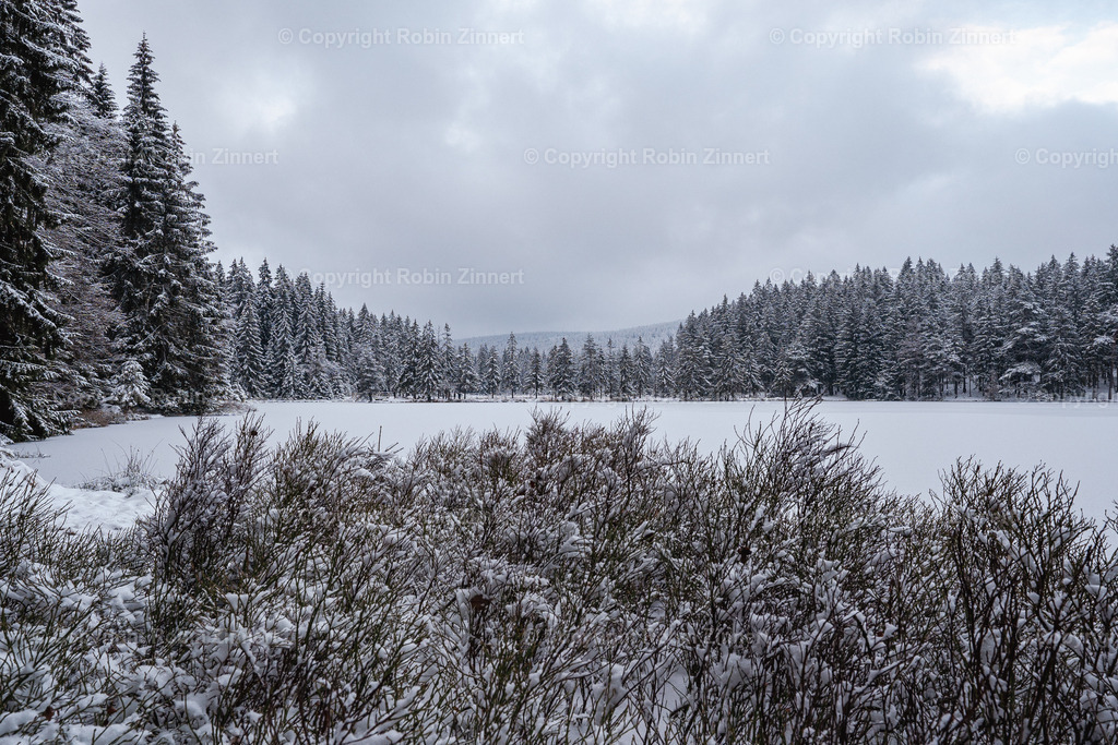 Fichtelsee_Winter00016 | Robin Zinnert - Realisiert mit Pictrs.com
