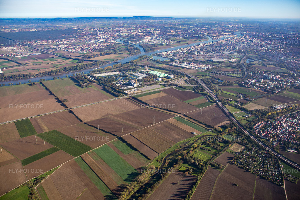 Luftbild: Frankenthal N im Ortsteil Mörsch in Frankenthal im Bundesland Rheinland-Pfalz in Deutschland. Foto: IMG_074865.jpg vom 18.10.2014 durch Werner Riehm/FLY-FOTO.de