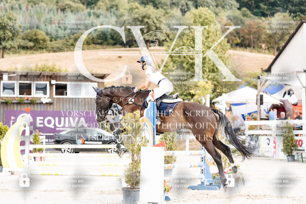 CK908906 | Turnierfotografie Pferdefotografie Trier Rheinland-Pfalz Pferdesport Reitsport Tierfotografie Sportfotografie Pferdevideo Pferdevideografie Equestrianvideography equestrianphotography  - Realisiert mit Pictrs.com