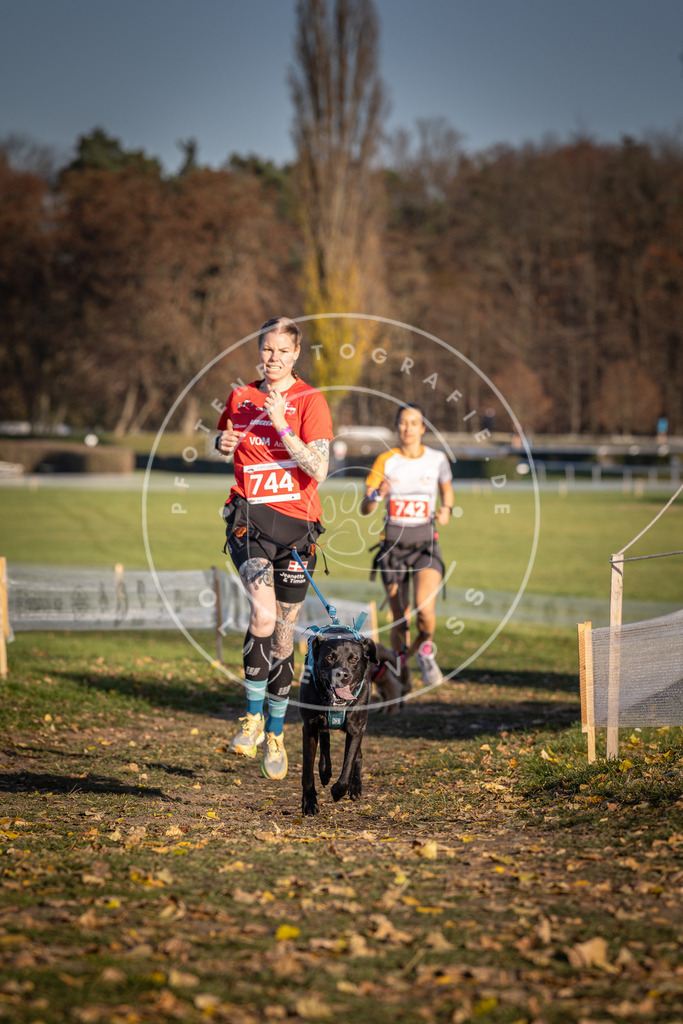 CaniXpix_DV3A2268 | Hundefotografie, Tierfotograf, Pfotenfotografie, Fotoshooting Hund, Hunde Portrait, Hundesport, Hundeportraits, Heideshooting, Hunde, Sportfotograf, Hundefotograf, Turnierhundsport, THS,  - Realisiert mit Pictrs.com
