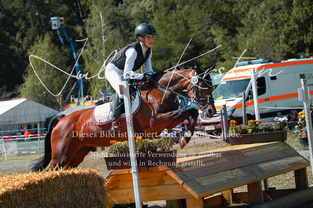 DSC_8262 | Pferde- und Turnierfotografie in Westsachsen. Pferdeportraits, Auftragszeichnungen und intuitive Kunst.