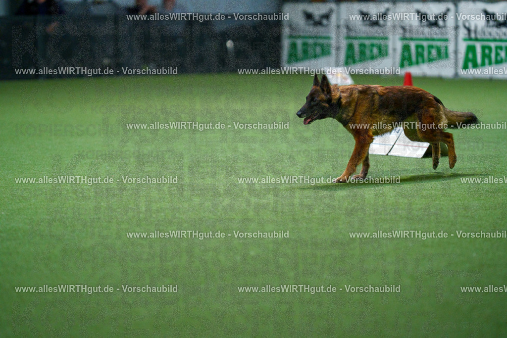 7R500935 | Professionelle Tierfotografie in Mönchengladbach von Daniel Wirth (allesWIRTHgut). Liebevolle & natürliche Bilder von Hunden & Katzen für unvergessliche Erinnerungen.