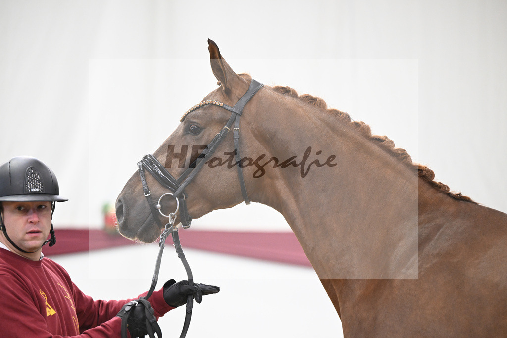 Kat-Nr. 52 Filox x Feinrich_Rothenberger Ventures GmbH_47251934 | hf-fotografie - Realisiert mit Pictrs.com