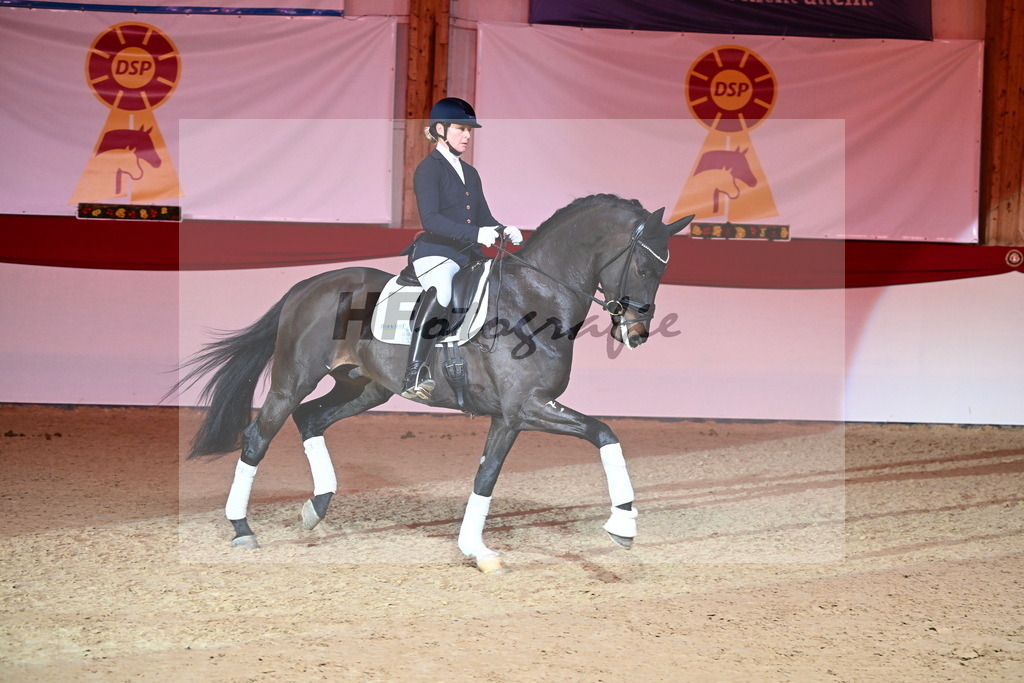 San__Haug_2254491 | hf-fotografie - Realisiert mit Pictrs.com