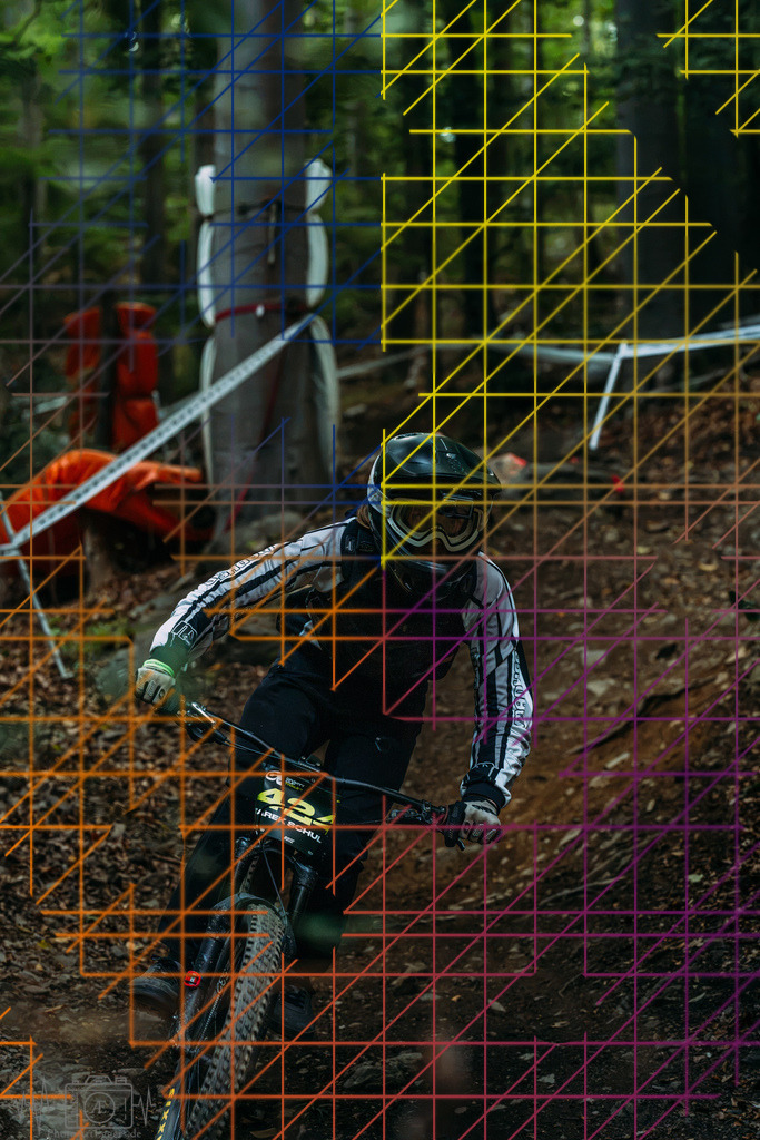 PAE-1311 | Einzigartige Fotokunst für dein Zuhause: Entdecke hochwertige Wandbilder, edle Prints und emotionale Motive von Wildlife, Natur und Landschaften - Realisiert mit Pictrs.com