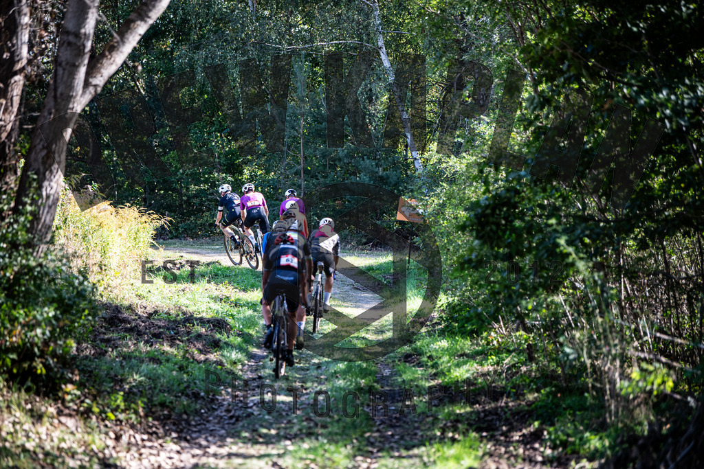 DKP-3969 | Drew Kaplan Photography