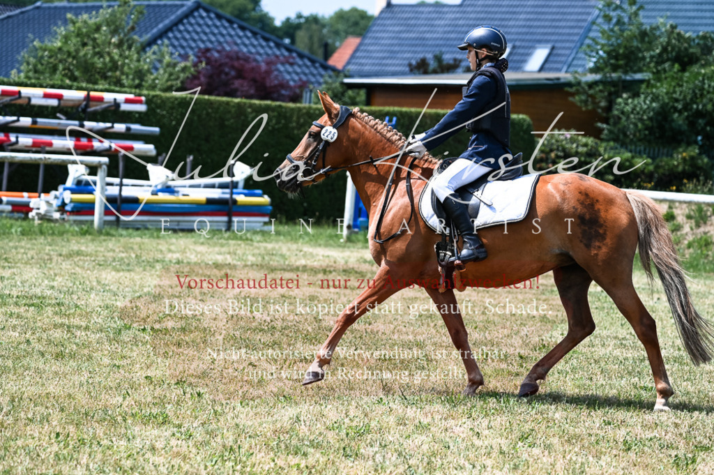 DSC_9663 | Pferde- und Turnierfotografie in Westsachsen. Pferdeportraits, Auftragszeichnungen und intuitive Kunst.