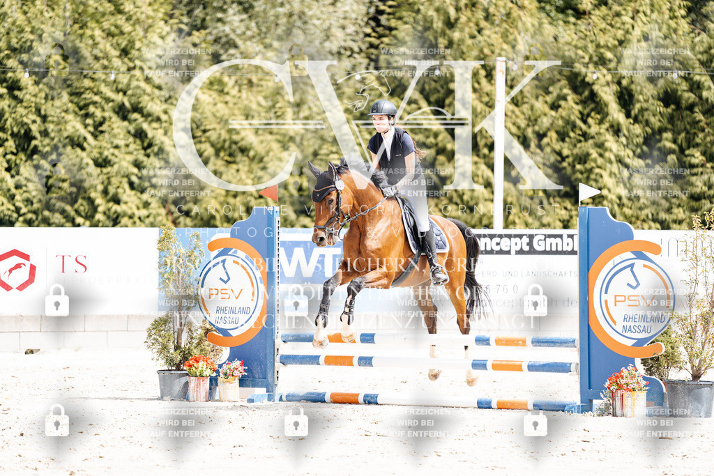 CK906606 | Turnierfotografie Pferdefotografie Trier Rheinland-Pfalz Pferdesport Reitsport Tierfotografie Sportfotografie Pferdevideo Pferdevideografie Equestrianvideography equestrianphotography  - Realisiert mit Pictrs.com