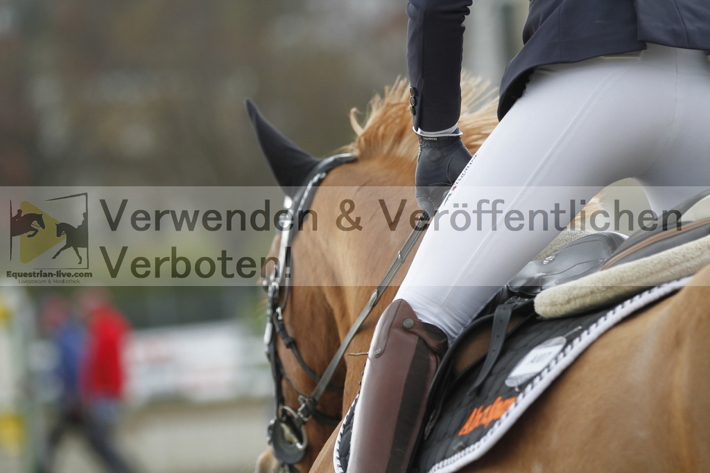 _MG_8479 | equestrian-live-com